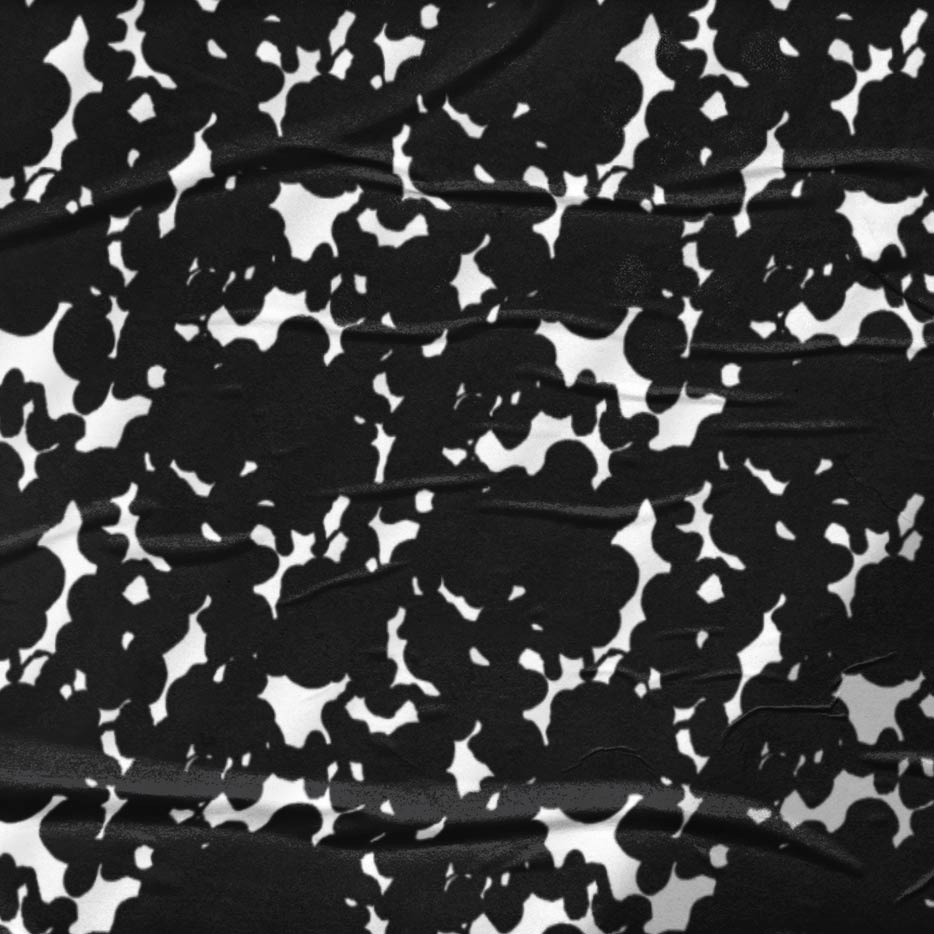 This sophisticated pattern showcases intricately detailed ink flowers in a classic black and white palette. Perfect for adding a touch of refined beauty to your creative projects or bringing a sense of timeless charm to your interior decor.