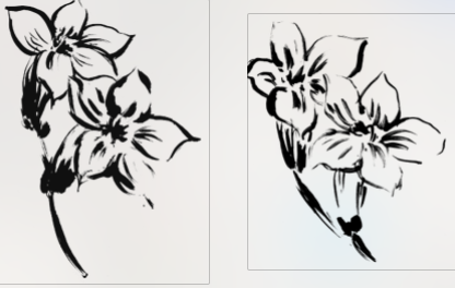 Black and White Hand-Drawn Diagonal Flowers